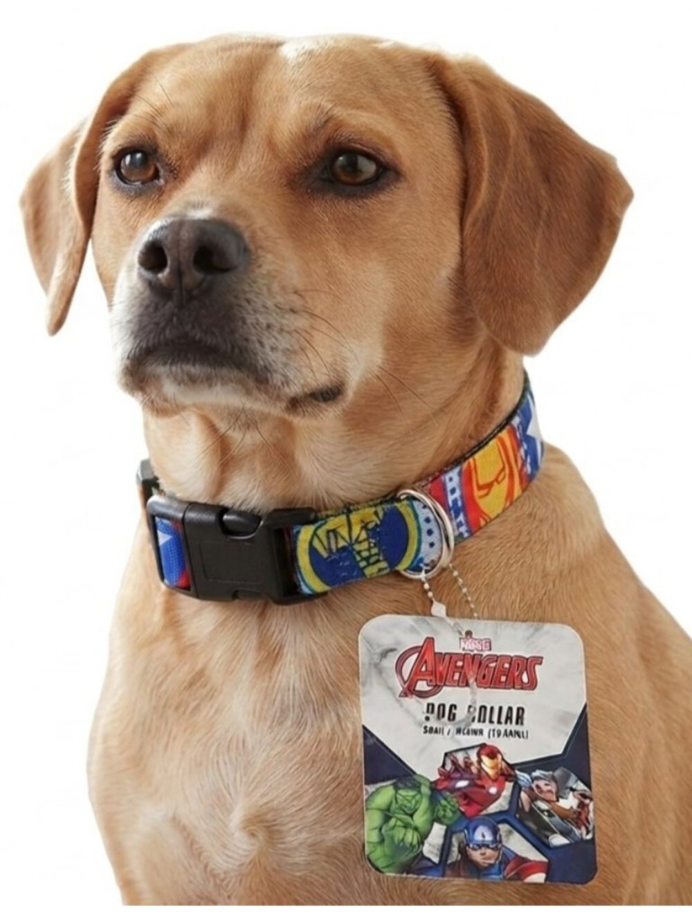 Marvel Avengers Superhero Small/Medium 15-35lbs Dog Collar NWT
